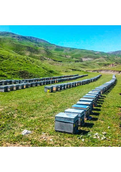 Organik Çiçek Balı 850 gr fırsatları