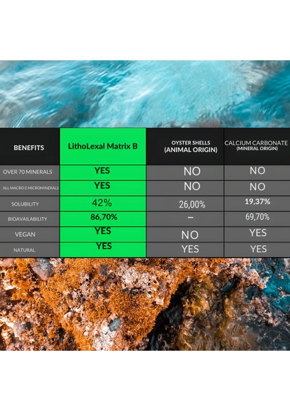® 60 Tablet- Matrix B (Günlük Mineral Desteği) fırsatları