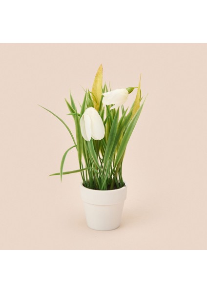 Spring Çiçek - Asorti - 6x5 cm modelleri