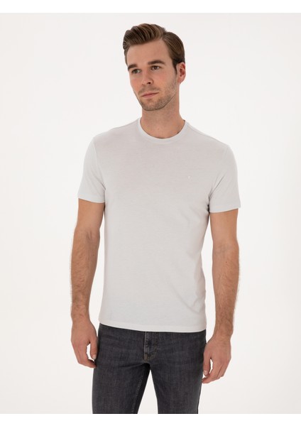 Erkek Taş Slim Fit %100 Pamuk Bisiklet Yaka Basic T-Shirt 50324401-VR049