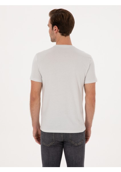 Erkek Taş Slim Fit %100 Pamuk Bisiklet Yaka Basic T-Shirt 50324401-VR049 indirimleri