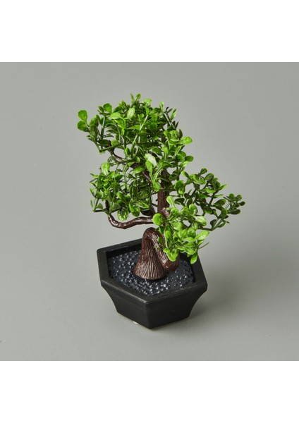Dekor Mini Yapay Bonsai - Asorti - 10X13 cm modelleri