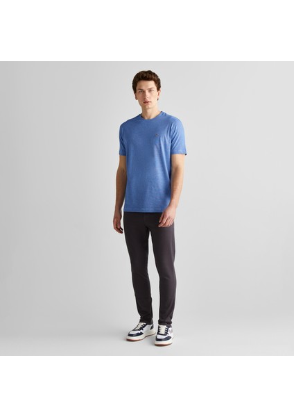 Erkek Mavi Regular Fit Bisiklet Yaka Çizgili T-Shirt modelleri