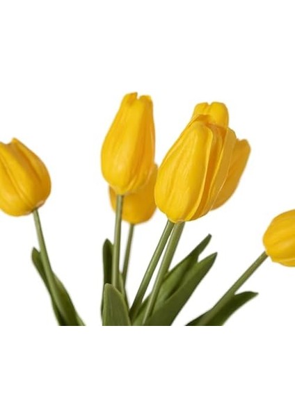 Concept Lale Demeti Sarı 35CM fiyatları