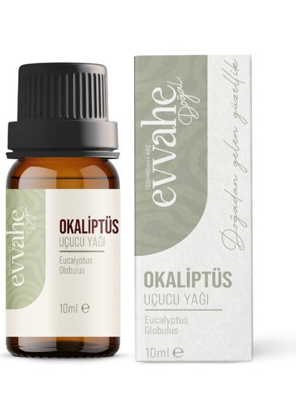 Okaliptus Yağı (10 ml) modelleri