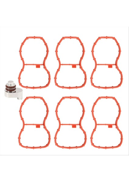 Emme Manifold Swirl Flep Blanking Fiş + Conta Seti Kiti 11618507335 Bmw N57N N57Z F30 F31 F32 F33 (Yurt Dışından)