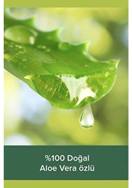 Aroma Sensations Feel The Massage Duş Jel 500 ml Deniz Tuzu Aloe Vera ve Nane Etkisi fırsatları