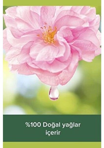 Aroma Sensations Feel The Massage Duş Jel 500 ml Deniz Tuzu Aloe Vera ve Nane Etkisi indirimleri