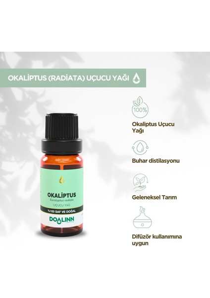 Okaliptus Uçucu Yağı (Eucalyptus Radiata) 10 Ml.