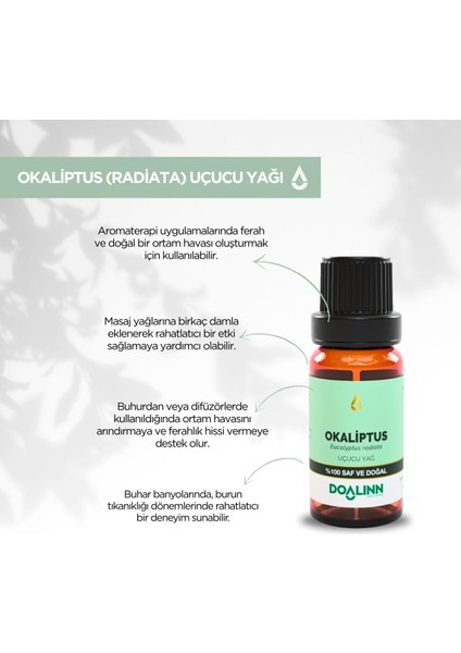 Okaliptus Uçucu Yağı (Eucalyptus Radiata) 10 Ml. fiyatları