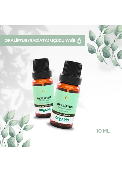 Okaliptus Uçucu Yağı (Eucalyptus Radiata) 10 Ml. modelleri