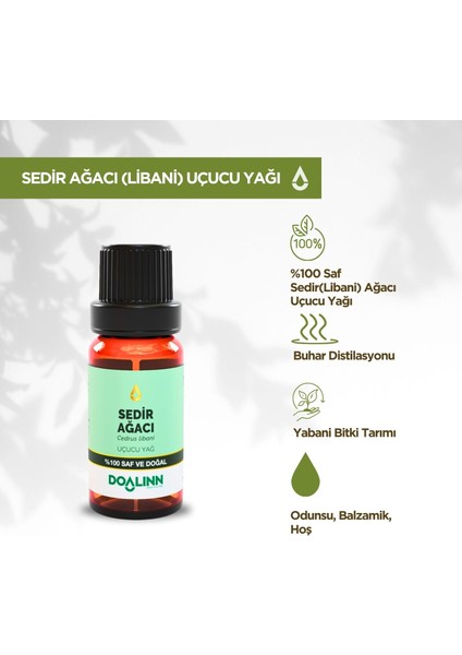 Sedir Ağacı Uçucu Yağı (Cedrus Libani) 10 Ml.
