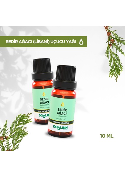 Sedir Ağacı Uçucu Yağı (Cedrus Libani) 10 Ml. modelleri