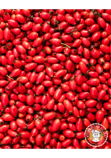 Kuşburnu Kurusu fiyatları