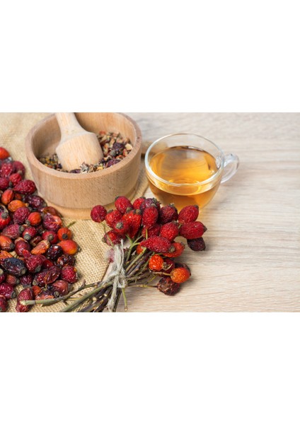 Kuşburnu Kurusu modelleri