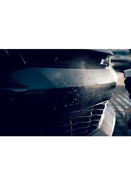 Pro Bug Remover Otomobil Araç Araba Tampon Kaput Ön Cam Radyatör Izgarası ve Boya Böcek Temizleme Sprey 500 ml indirimleri