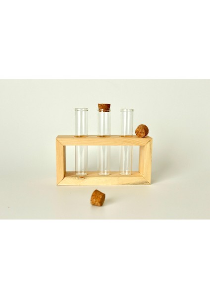 Tube Serisi Masaüstü Dekoratif Vazo, Cam Tüplü Vazo, Dekoratif Tüplü Vazo, Baharatlık indirimleri