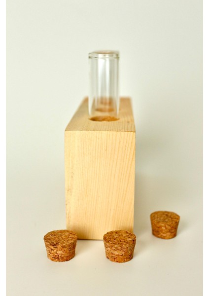 Tube Serisi Masaüstü Dekoratif Vazo, Cam Tüplü Vazo, Dekoratif Tüplü Vazo, Baharatlık