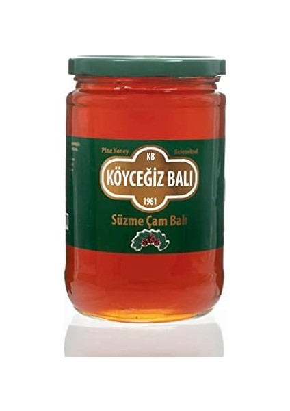 Balı Çam Balı 850 G Cam Kavanoz fiyatları