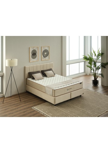 Comfort Yatak | Soft Pocket Yay – Çift Katmanlı Soft Konfor Süngeri – Orta Yumuşak – Roll Pack fiyatları