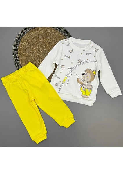 Erkek Çocuk Ayıcık Baskılı Alt Üst Ikili Gündelik Takım fiyatları