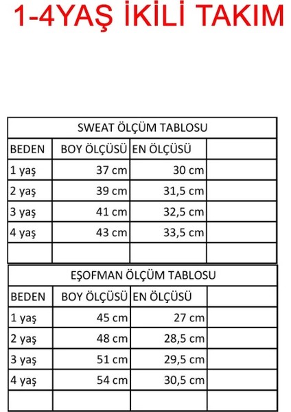 Erkek Çocuk Ayıcık Baskılı Alt Üst Ikili Gündelik Takım modelleri