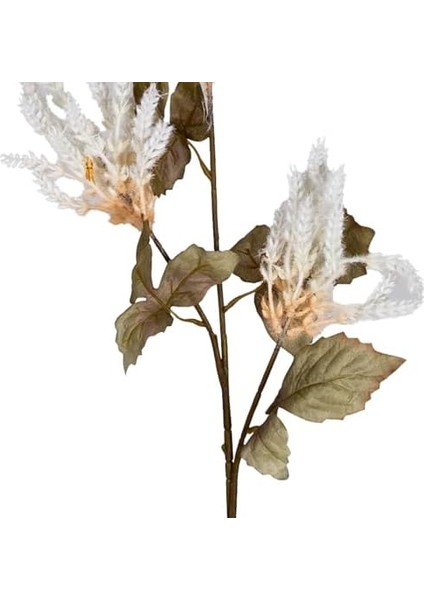 Çiçekli Bitki Pampas Krem 90 Cm. fiyatları