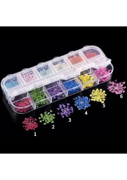 12'li Kuru Çiçek Seti No:2 – Nail Art ve Tırnak Süsleme Malzemesi