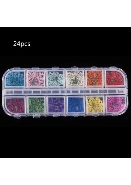 12'li Kuru Çiçek Seti No:2 – Nail Art ve Tırnak Süsleme Malzemesi fiyatları