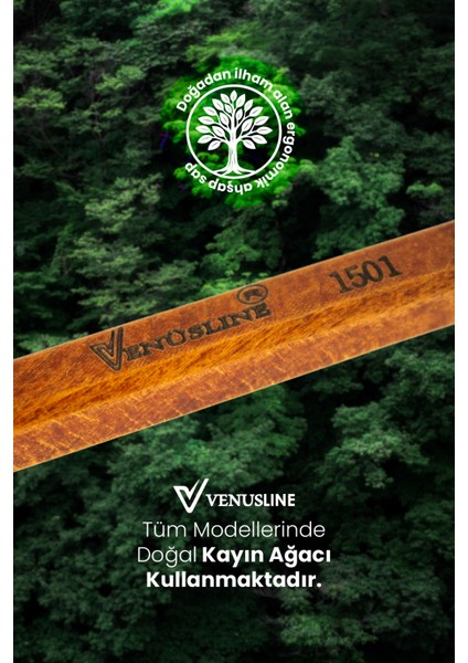 Venüsline 1501 Tarama Fırçası – Erkek ve Kadın Kullanıma Uygun, Masaj Etkili Yapı