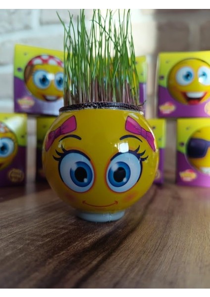 Çimoji 24'lü Ayrı Kutularda Tek Tek Kutulu Çim Adam Çimadam modelleri