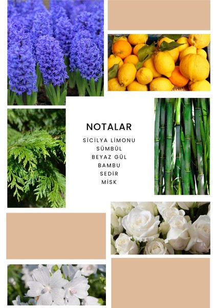 Ixora K178 Love Edp Kadın Parfüm 50 ml fiyatları