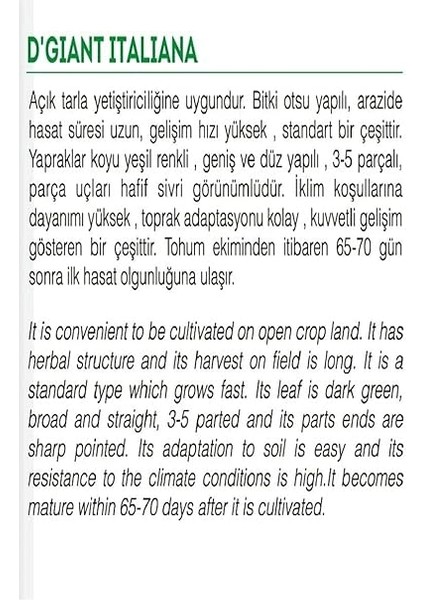 Tarım Ata Tohumu Yerli Maydanoz 2500 Tohum fiyatları