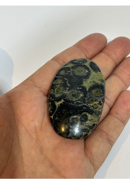 Yılan Taşı Palm fiyatları