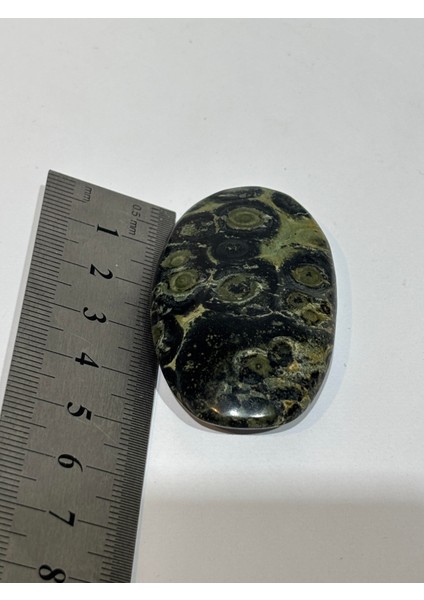 Yılan Taşı Palm modelleri