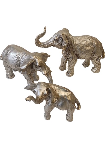 Fil Ailesi Üçlü Gümüş