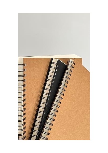 Tanıtım Spiralli Defter, Siyah Kapaklı B5 Boyutunda (182X257 Mm), 100 Yaprak (Çizgisiz) fiyatları