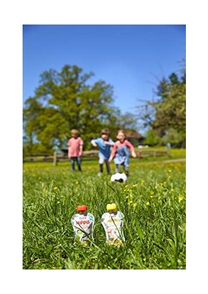 Hipp Organik Muzlu Elmalı Armut Püresi 100 gr fiyatları