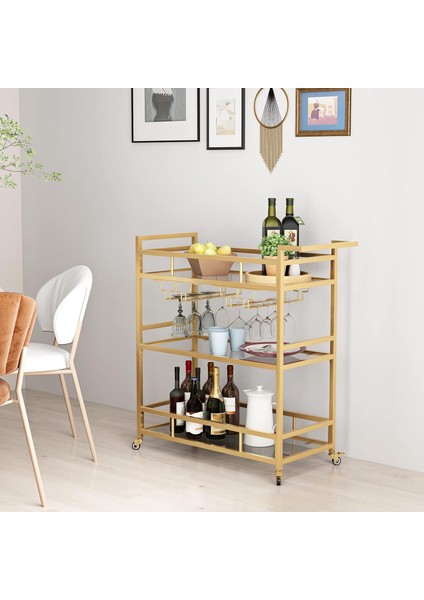 Riga Metal Gold Sunum Arabası, Bar Servis Arabası modelleri