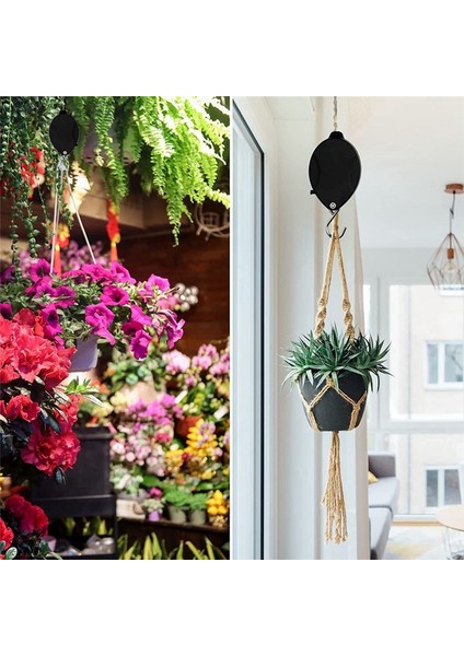 Geri Çekilebilir Bitki Askısı, Asma Bitkiler Için Bitki Kasnakları, Yükseltilmesi Kolay ve Alçaltılmış, Ağır Hizmet Tipi, Ayarlanabilir Kanca, 3 Paket (Yurt Dışından) modelleri