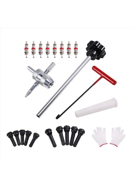 Hızlı Değiştirici Türücü Valf Kiti Valve Tür Lastik Valf TR413 Valf Değiştirme ve Kurulum Aracı Kiti Için (Yurt Dışından)