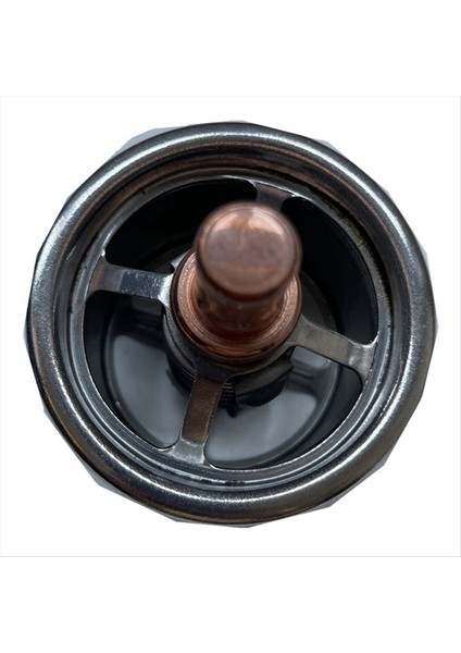 Su Sıcaklığı Regülatörü Termostat 248-5513 247-7133 2477133 Kat 345D 349D C13 Için 2485513 (Yurt Dışından) fırsatları