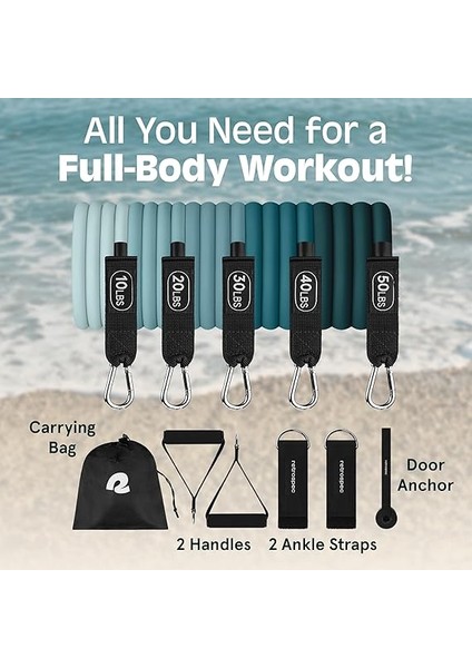 Kulplu Antrenman Bantları, Kapı Çapası, Kadın ve Erkek Için Taşıma Çantası, 5 Adet fiyatları