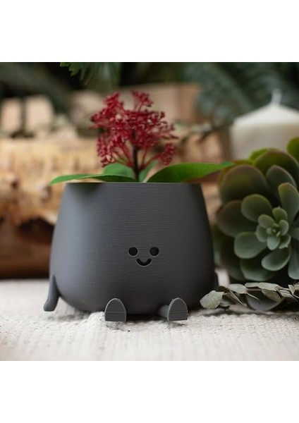 Tombul Oturan Gülen Yüz Saksı Bioplastik Güler Yüzlü Sukulent Saksısı (Antrasit, Büyük) modelleri