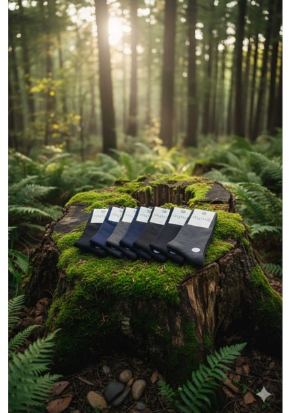 Modal Erkek Soket Çorabı , Asorti 12'li Kutu modelleri