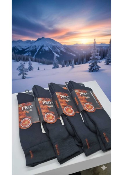 Havlu Lambswool (Yün) Thermal Erkek Çorap, Dikişsiz Burun, Asorti , 4'lü Paket