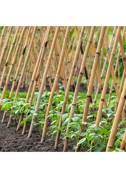 Dikim Destek Çubuğu 10 Adet (180 Cm-14-16 Mm) indirimleri