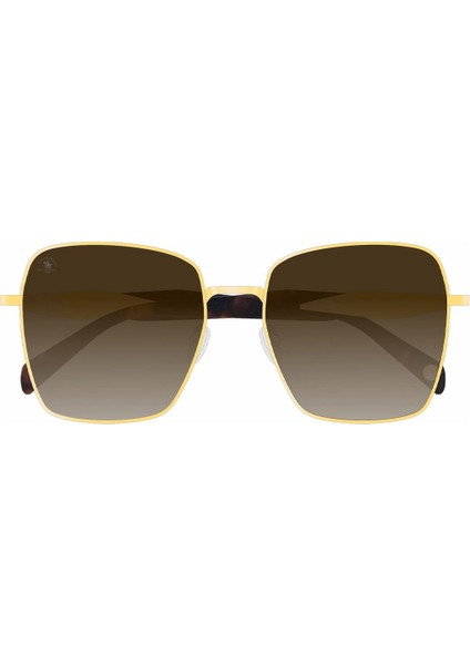 SB1140COL02 Kadın Güneş Gözlüğü