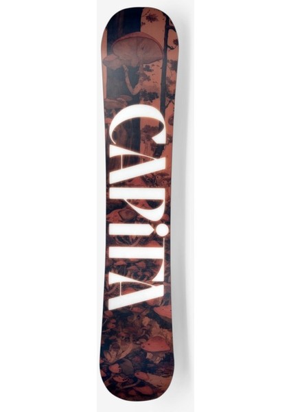 Paradise 2026 fırsatları