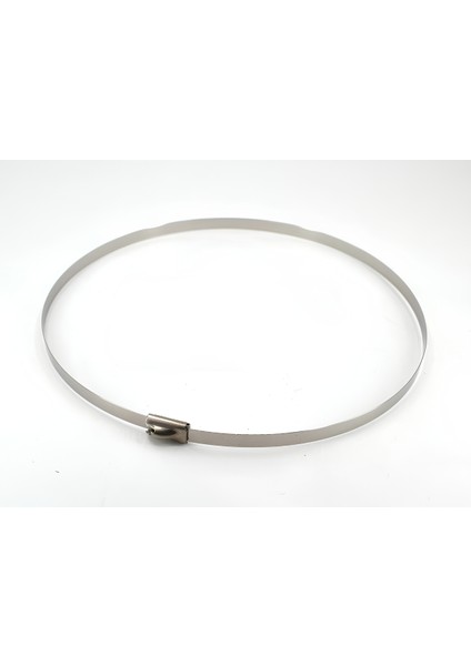 10 Adet 4,6mm 25CM Paslanmaz Çelik Kablo Bağı